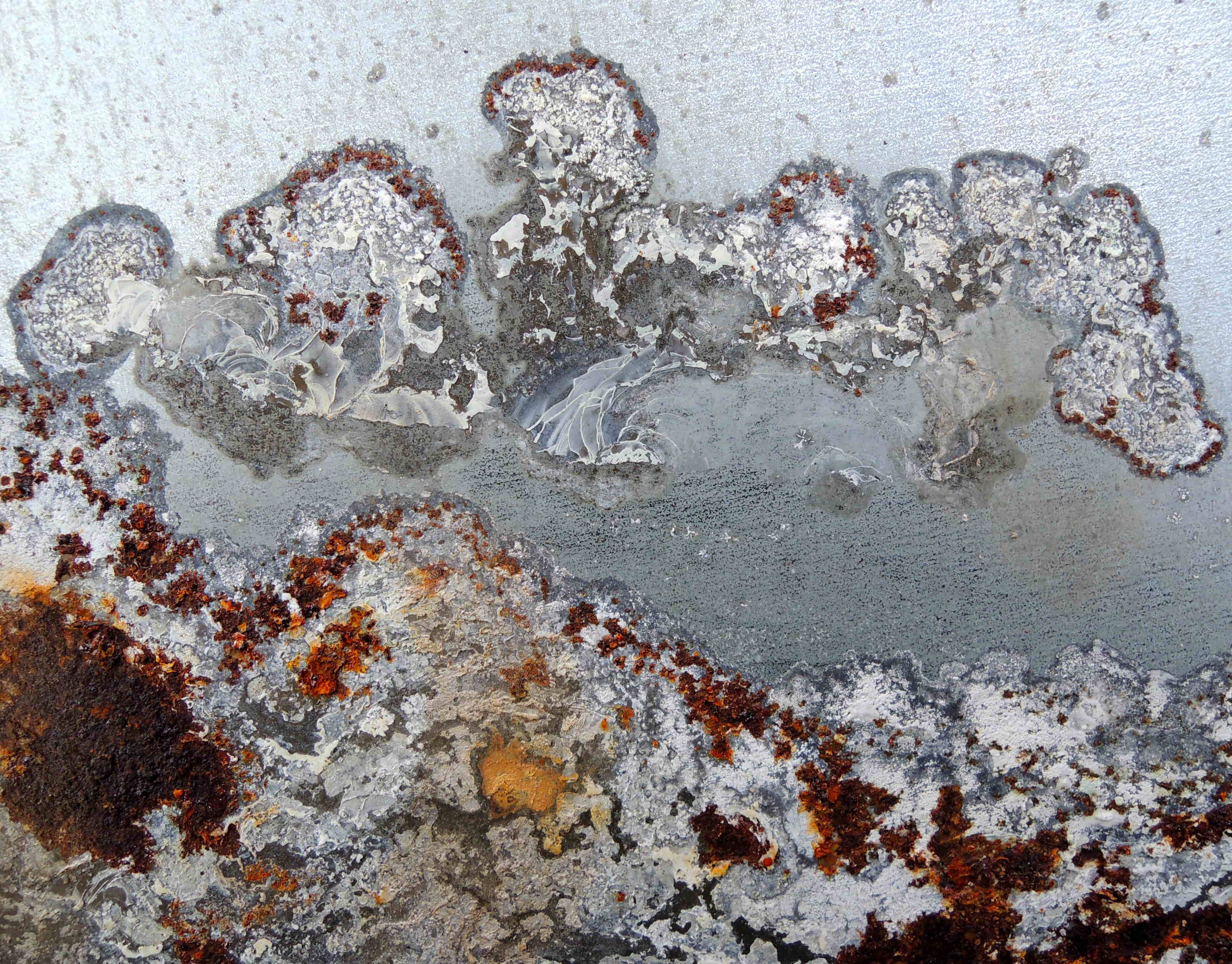 Guide to Detecting and Preventing Scale Buildup in Commercial Settings 2 An up-close look at scale buildup and rust.